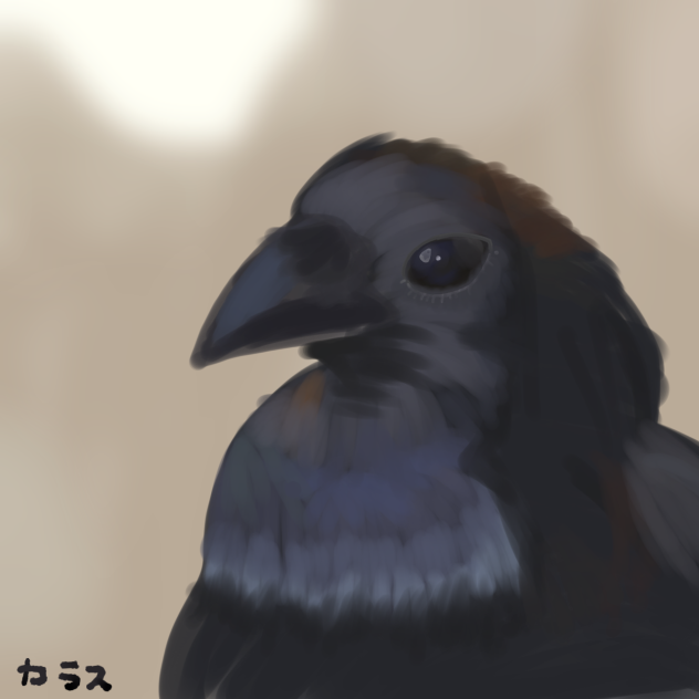 カラス