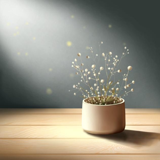 flower pot with sunlight 2