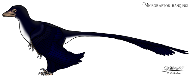 Microraptor hanqingi