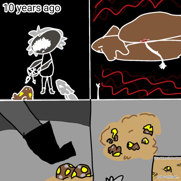 How to Train Your Dragon backstory