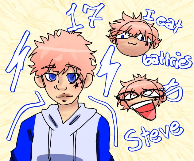 STEVE REDESIGN
