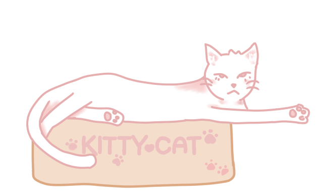 kitty cat cat