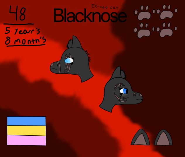 Blacknose concept