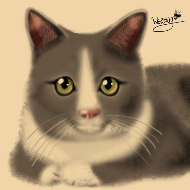 Olive the cat