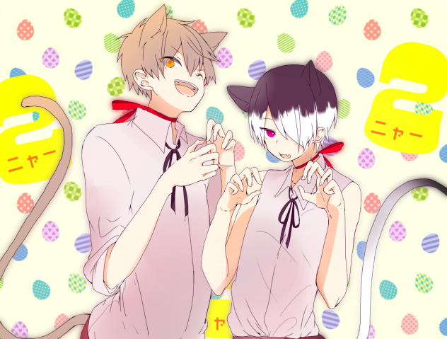猫の