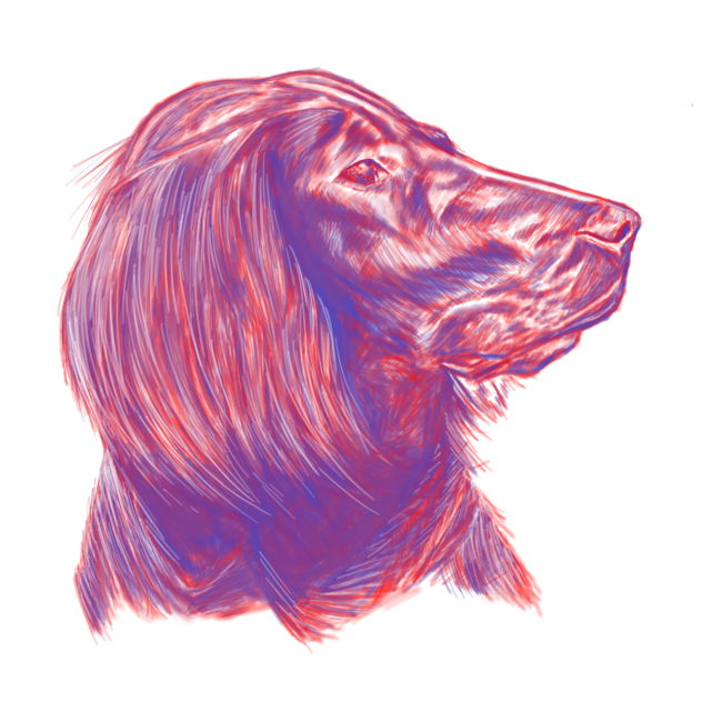DOG - ibisPaint