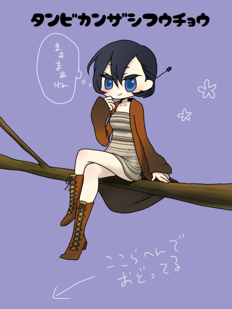 タンビカンザシフウチョウ♀