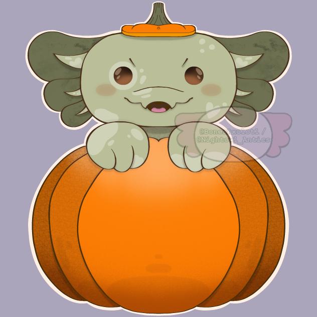 Pumpkin Axolotl