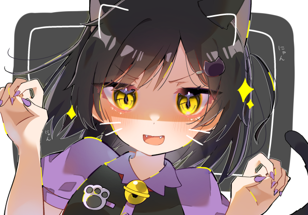 🐈‍⬛🌙