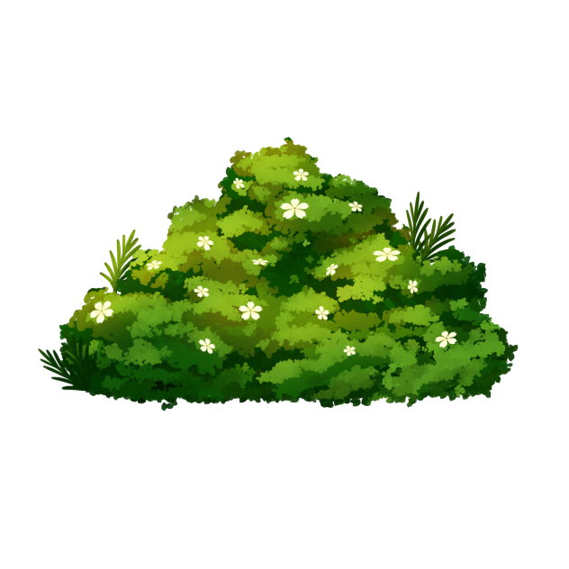 Flower Bush 1