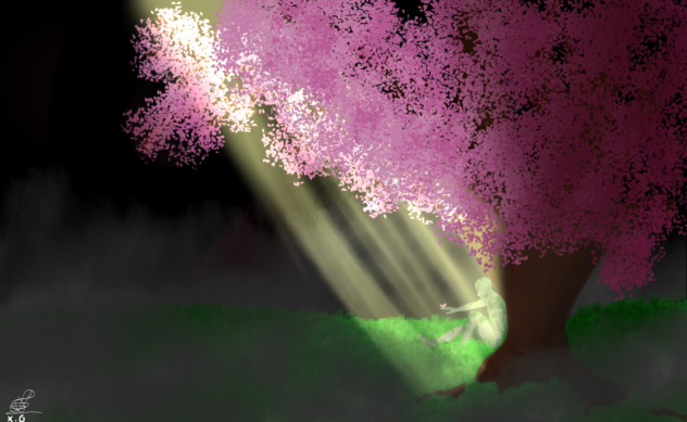 Cherry tree