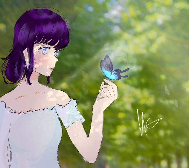 Butterfly