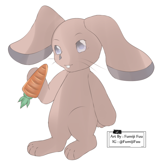 Mr.Rabbit