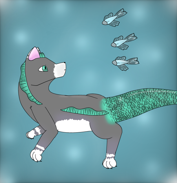 fishy ( ＾ω＾ )