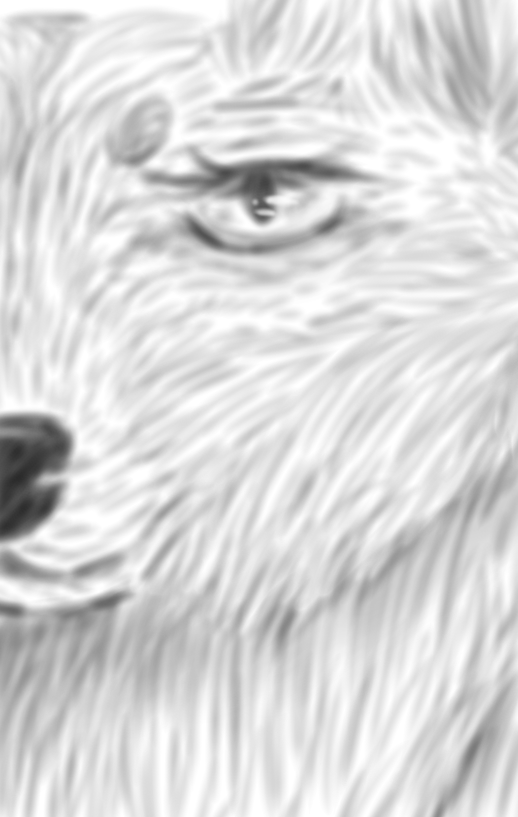 WOLF - ibisPaint