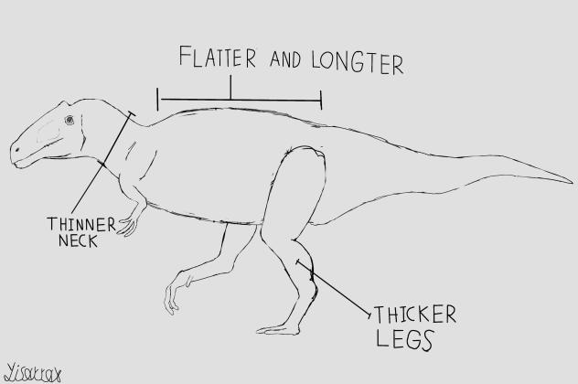 Acrocanthosaurus Atokensis sketch