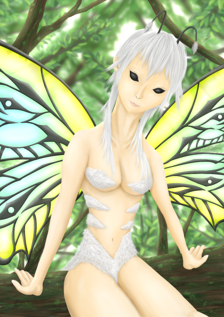 Butterfly