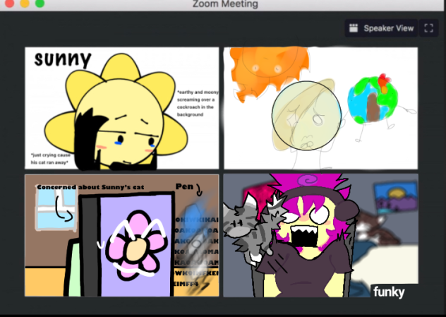 zoom meeting collab
