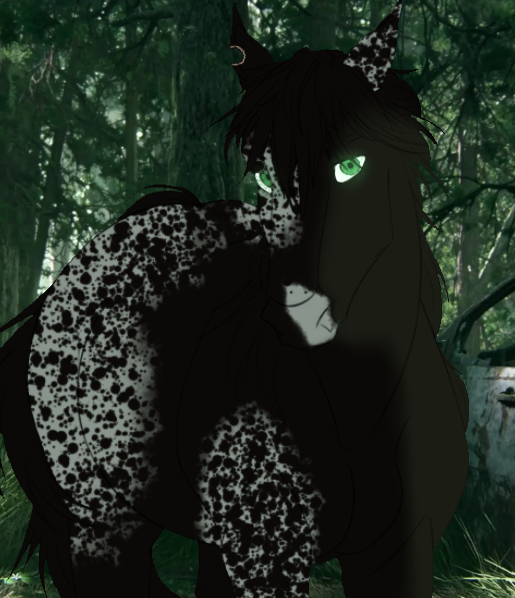 `` You shouldnt be here. Its dangerous``
