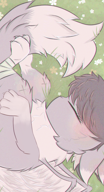 🐈🕊️