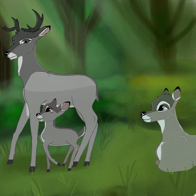 family deer