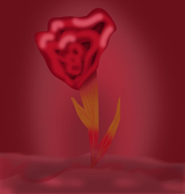 Meat flower. A gift for frostbyte.