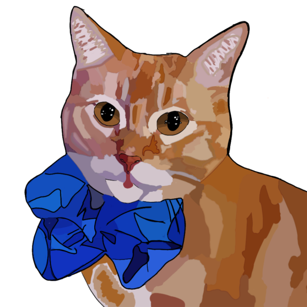 my cat peaches