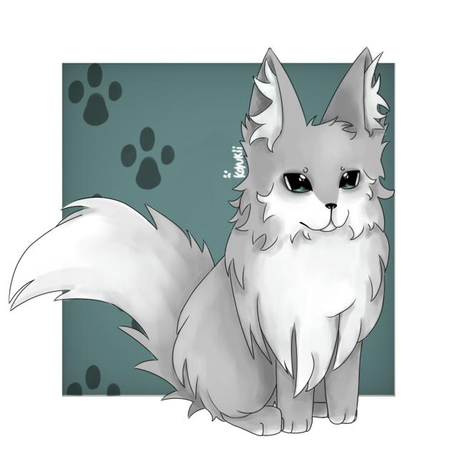 🐺 Wolf 🐾
