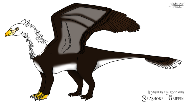 Seashore Griffin