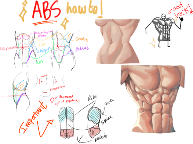 ✨ABS✨