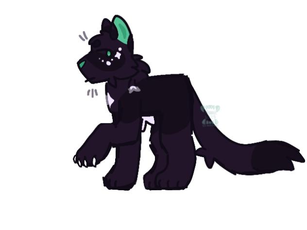 hollyleaf