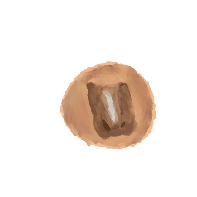 hyper realistic nose👃 - ibisPaint
