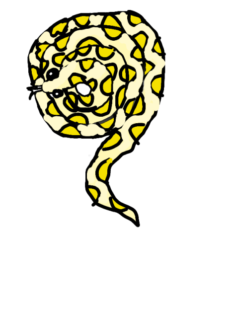 snake 🐍