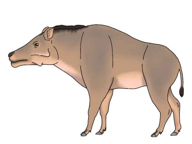 Daeodon shoshonensis2