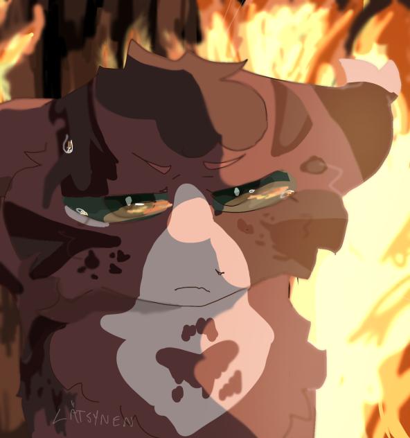 squirrelflight