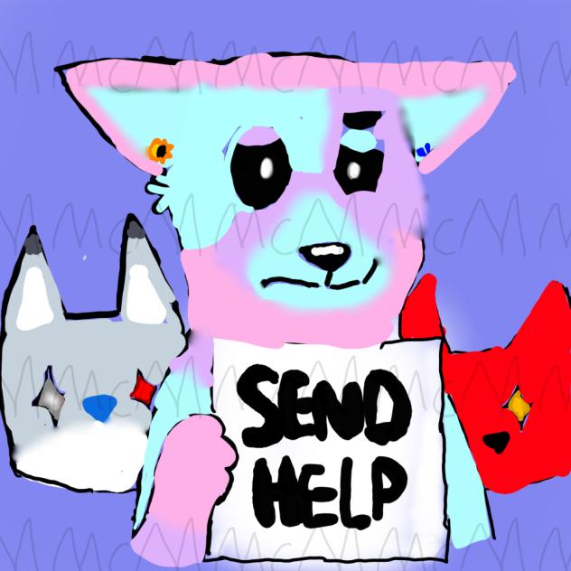 SEND HELP