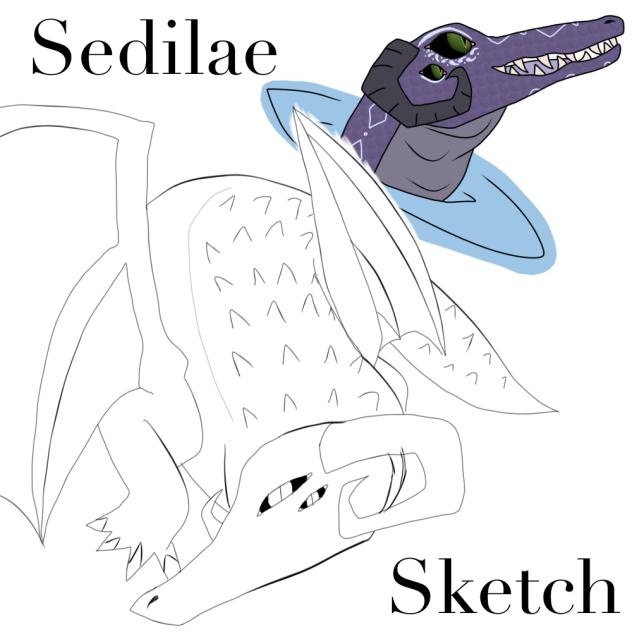Sedilae