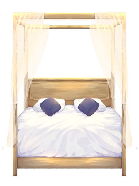 ☁️Canopy Bed☁️