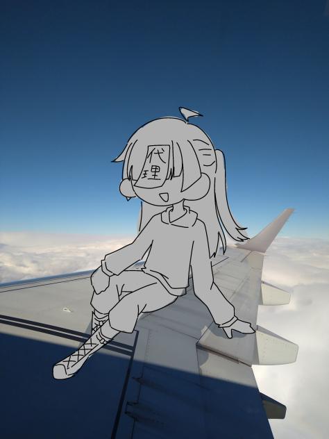 ✈