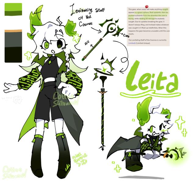 Leita redesingn