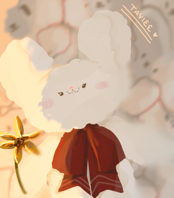 TEDDY IS HERE TO COMFRONT YOUU