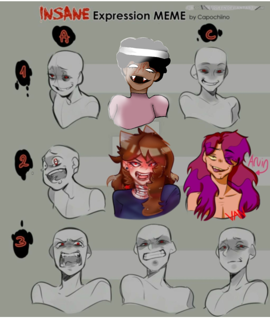 Insane Expression MEME