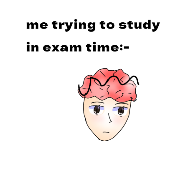 based on a true story