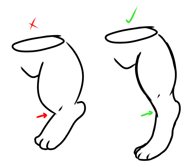 dos and donts of digitigrade leg ibisPaint