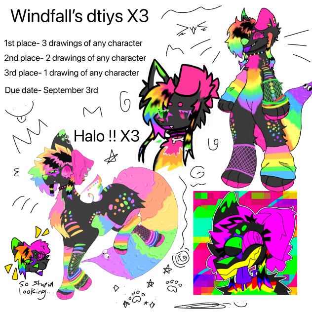 Windfall’s DTIYS X3