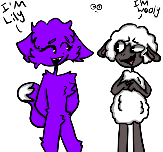 lily meets wooly