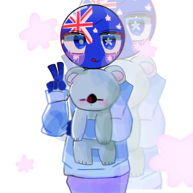🐨