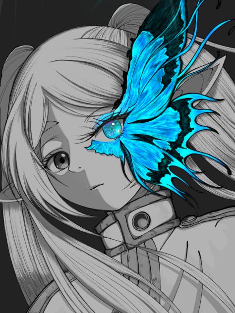 🦋🦋🦋