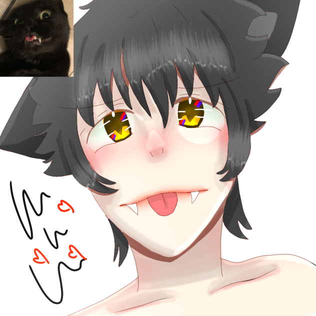 kitten