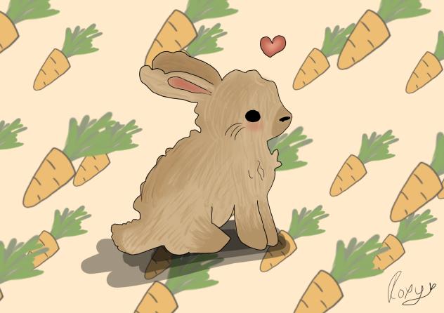 BUNNYYYY!!! 🐰🐇🥕🥕